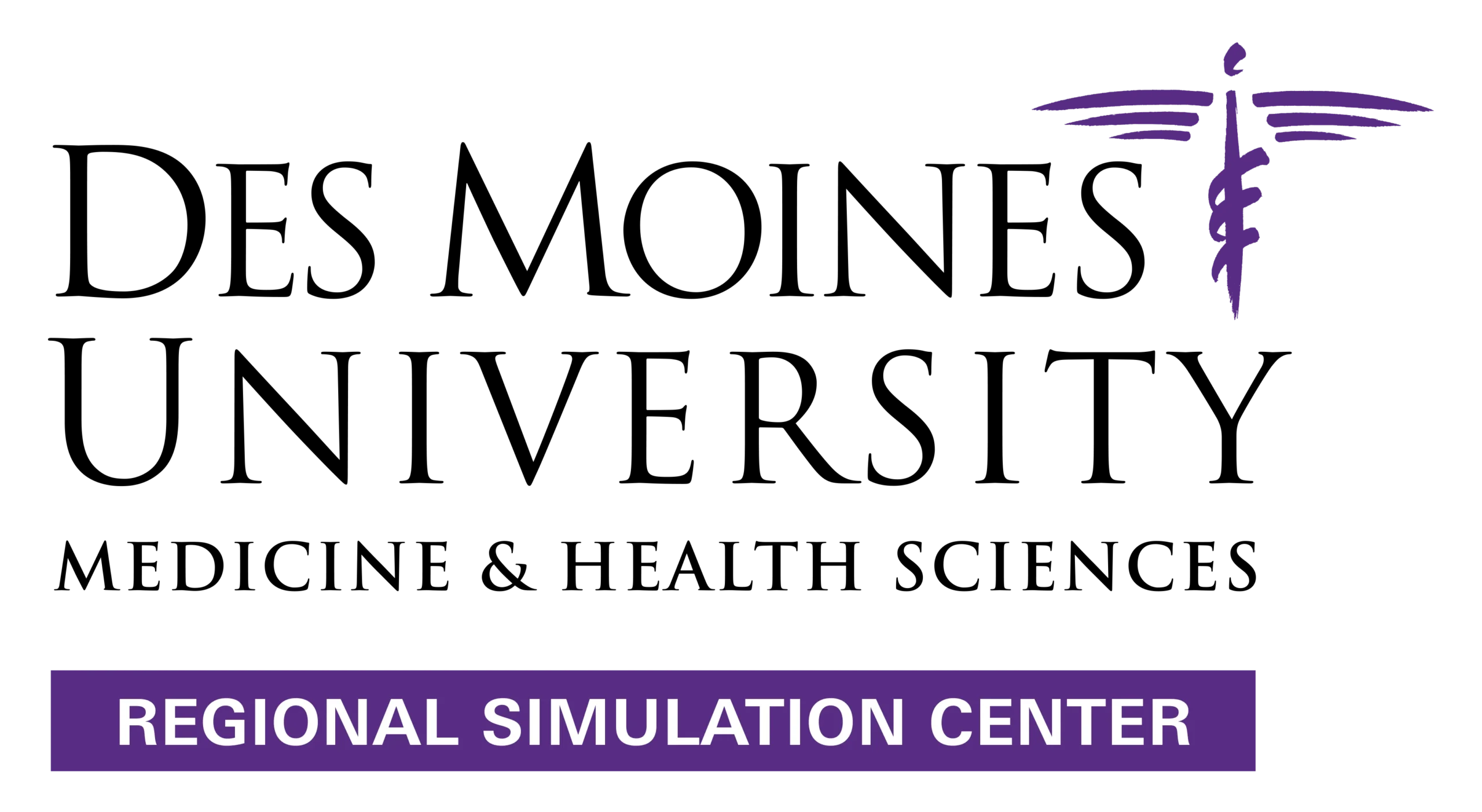 DMU-Regional-Simulation-Center-logo